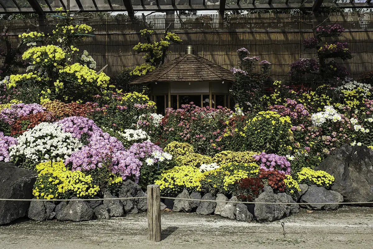 🌸 지바시 도시녹화 식물원 이미지 10